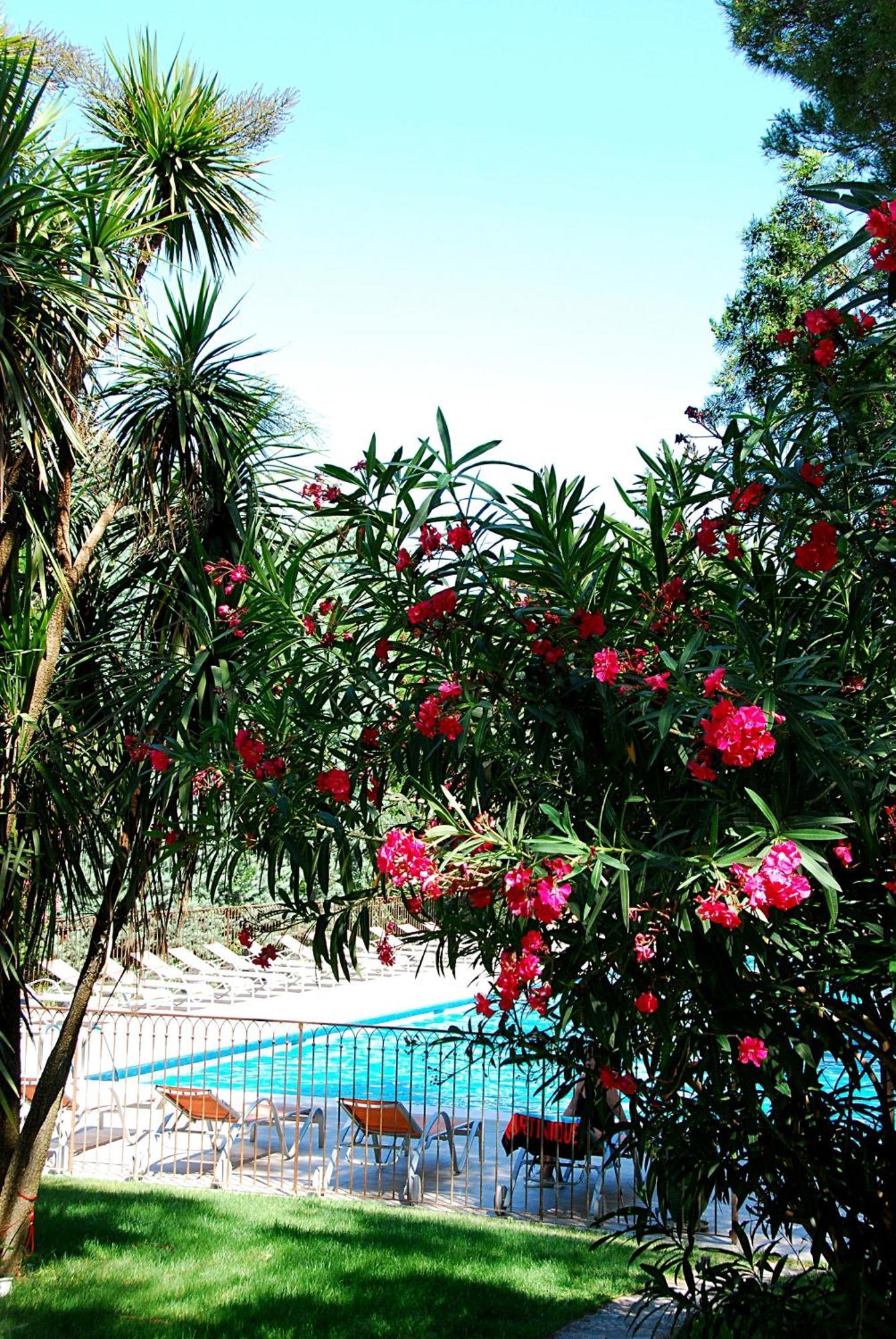Hotel Les Mazets Des Roches تاراسكون المظهر الخارجي الصورة