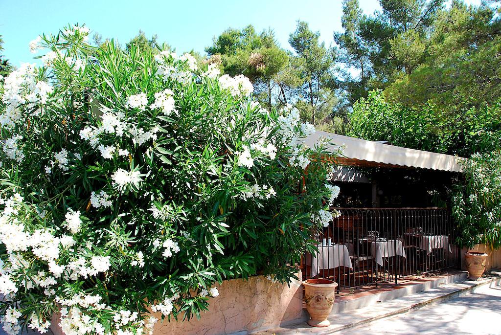 Hotel Les Mazets Des Roches تاراسكون المظهر الخارجي الصورة